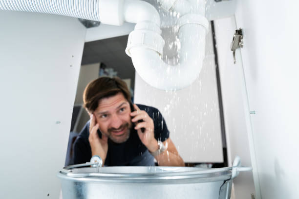 Best Drain Cleaning Services  in Eastwood, MI