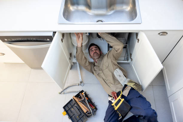 Best Plumbing Inspection Services  in Eastwood, MI