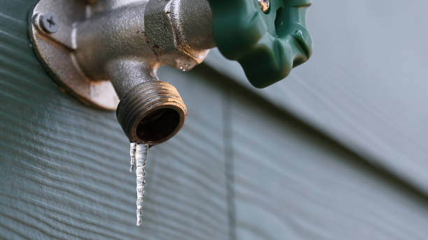 Best Clogged Drain Plumber  in Eastwood, MI